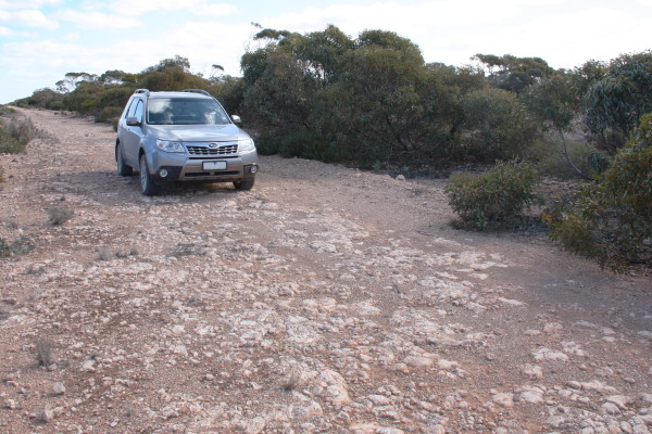 Crossing the Nullarbor through the desert